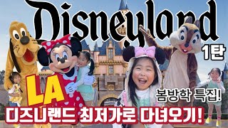 봄방학 맞아 디즈니랜드 3일 이용권 사용하기! | 2024 Spring Break at Disneyland California