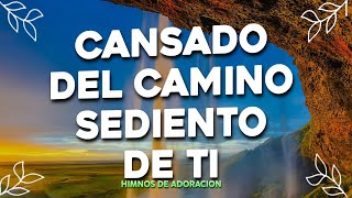 Cansado Del Camino - Mezcla De Alabanzas De Adoración Mix - Musica Cristiana Sumergeme Y Mas
