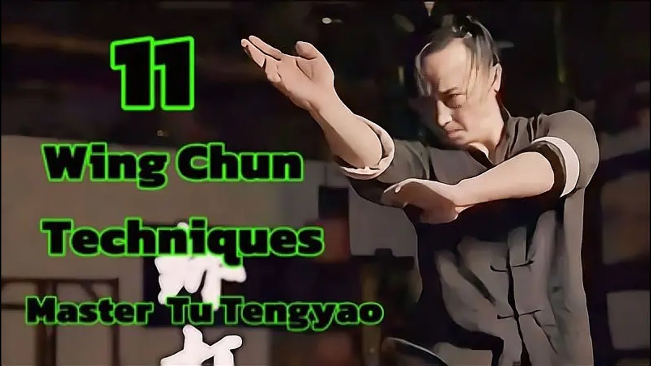 11 Wing Chun Martial Arts Self Defense Techniques Master Tu Tengyao ...