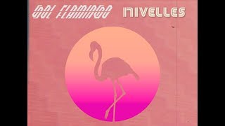 Sol Flamingo feat Ivan Nivelles (lyric video)- Vacío chords