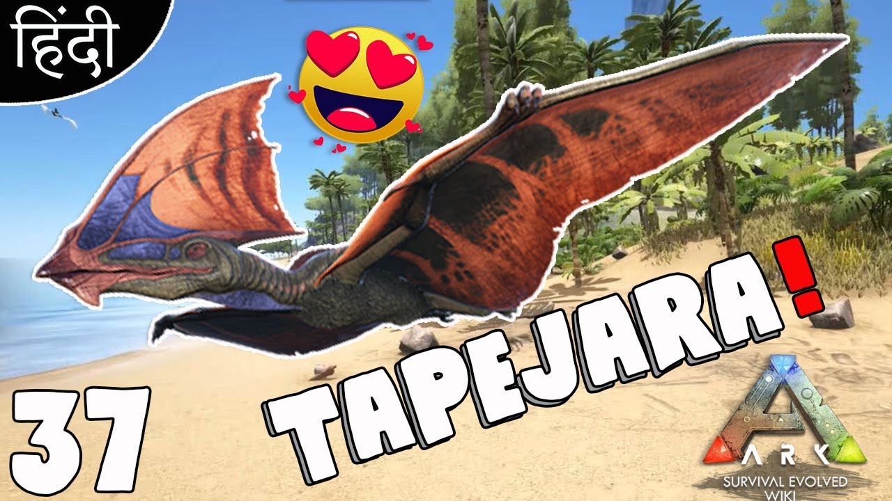 Тапежара арк карта