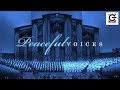 Peaceful Voices