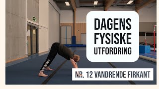 Dagens fysiske utfordring 12 - Vandrende firkant