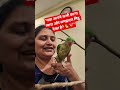 "मेरा प्यारा मिट्ठू: प्यार जो शब्दों से परे है! 🦜✨😍"Shorts​#ParrotLove​#PetCare​#ViralShorts