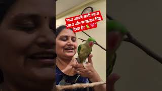"मेरा प्यारा मिट्ठू: प्यार जो शब्दों से परे है! 🦜✨😍"Shorts​#ParrotLove​#PetCare​#ViralShorts