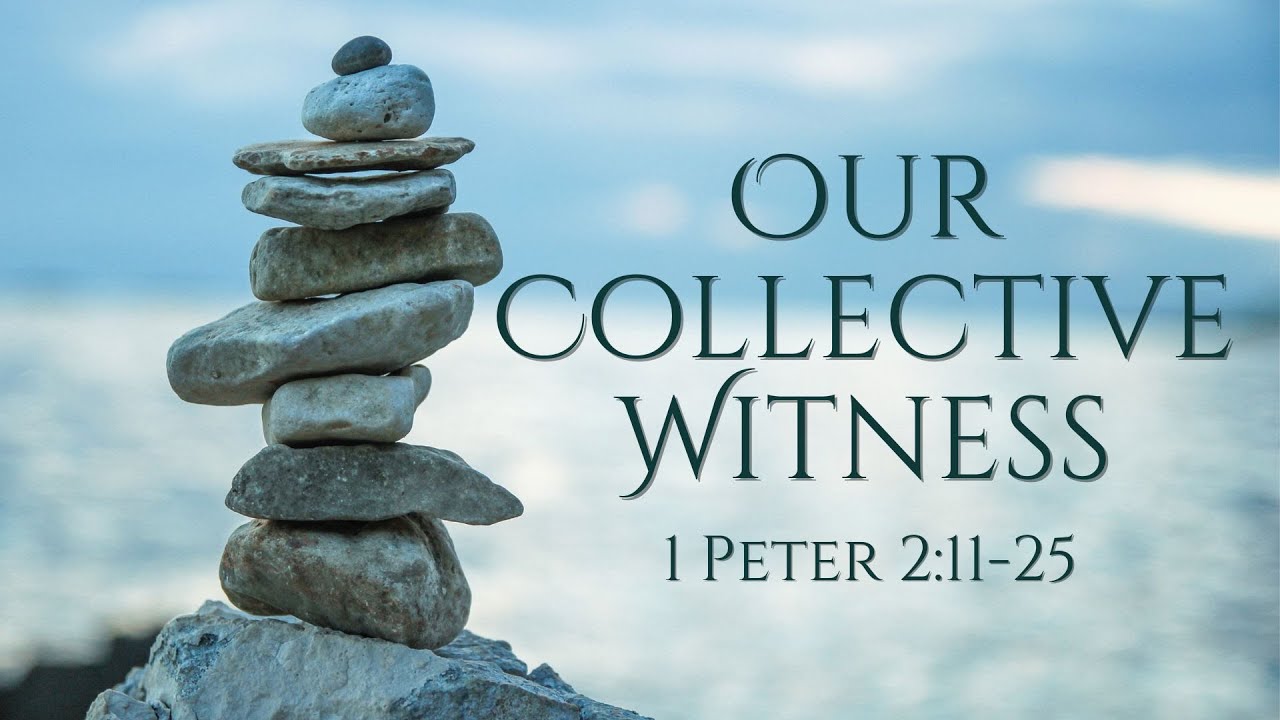 1 Peter 2:11-25 