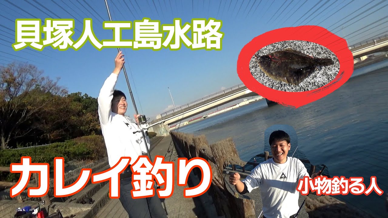 大阪 貝塚 今年は好調 貝塚人工島水路にてカレイ釣り コロ釣り 関西 Youtube