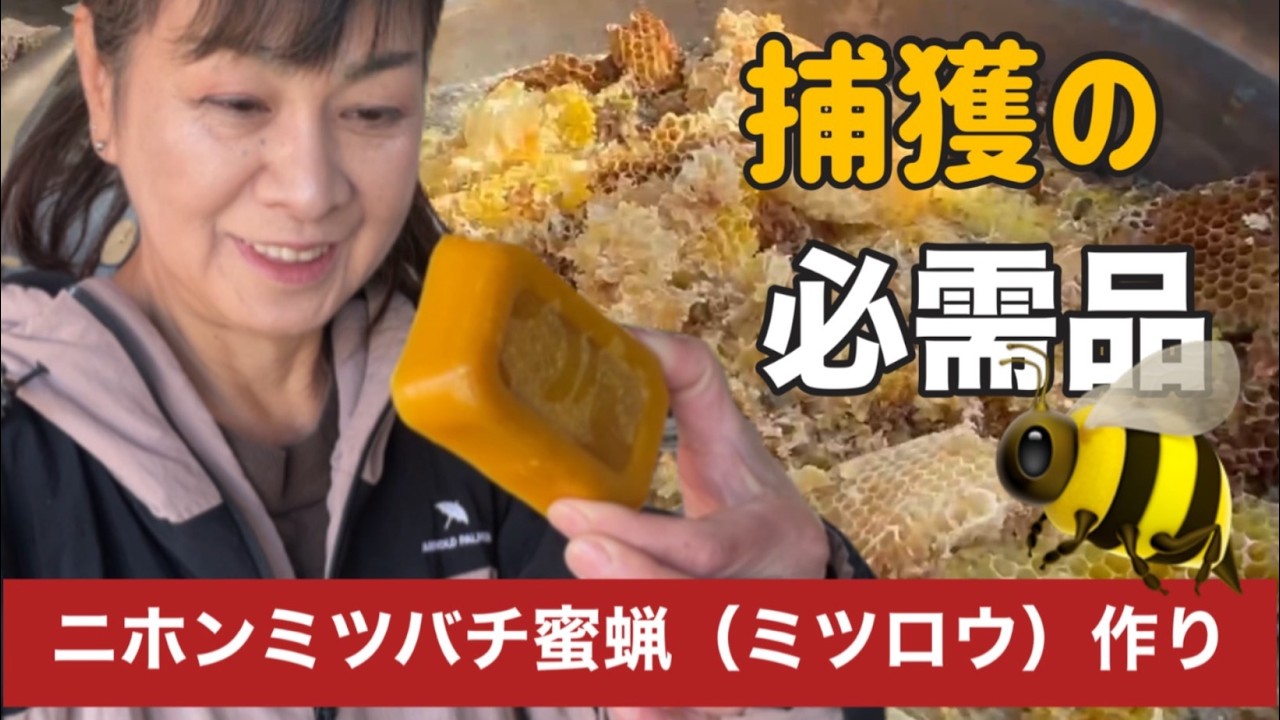 【ニホンミツバチを飼おう】蜜蝋（ミツロウ）と誘引液作り