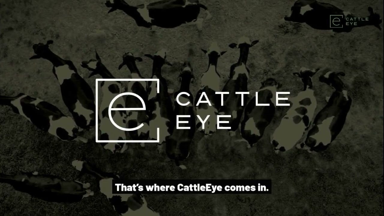 CattleEye: Optimising Profits For Farmers