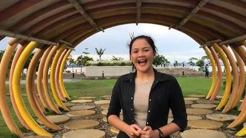 HPUSA Video Introduction Example