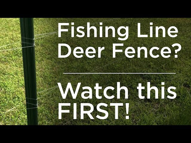 Fishing Line Deer Fence for Garden? WATCH THIS FIRST (Doesn't Work!) 