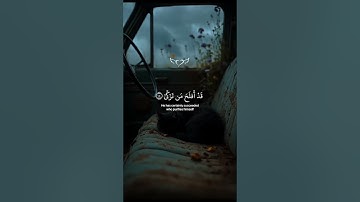 أكتب شيء تؤجر عليه ❤️‍🩹 القارئ عبدالرحمن مسعد 🎧