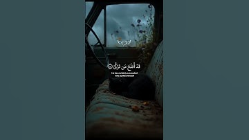 أكتب شيء تؤجر عليه ❤️‍🩹 القارئ عبدالرحمن مسعد 🎧