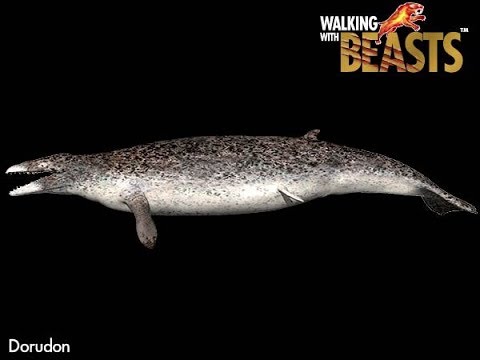 TRILOGY OF LIFE - Walking with Beasts & sea monsters - "dorudon" - YouTube