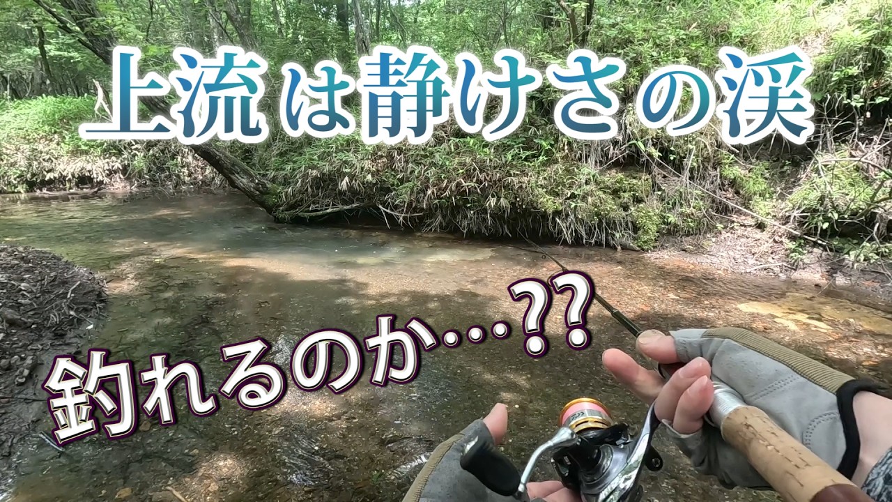 【渓流釣り】釣れない系の川がこの日は好調！だったが…