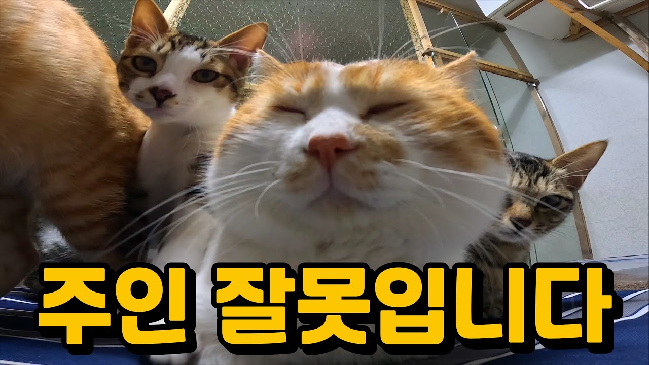 제 부주의로 임신이 되었습니다