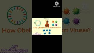 Obelisks @EnteMicrobialWorld #obelisk #biology #cellbiology #rna #microbiology #shortsfeed #cell