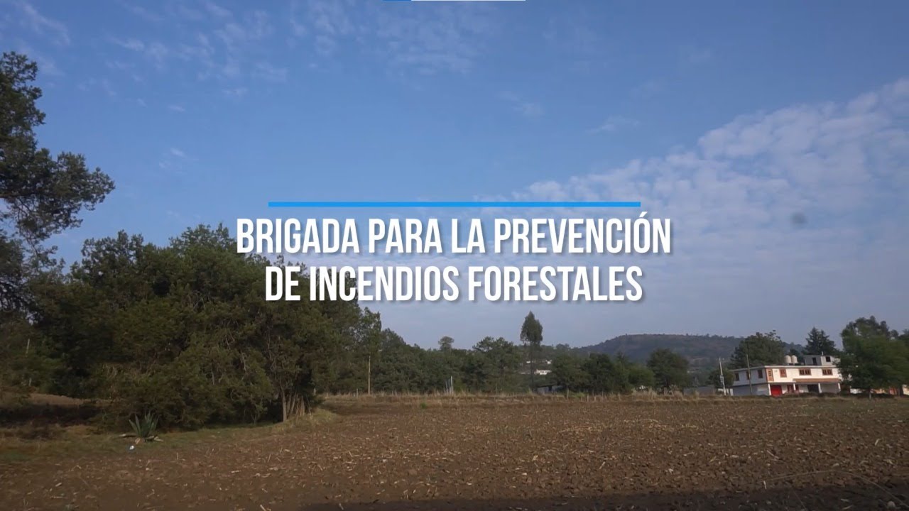 Brigada de Prevención de Incendios de Minera Gorrión