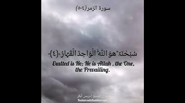 سورة الزمر بصوت الشيخ إدريس أبكر/Surah Zumar Sheikh Idress Abkar @idressabkar-quran