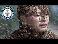 Heaviest mantle of bees  guinness world records