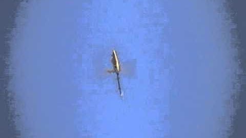 Autorotation dos Trex 600 align