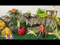 ¡Insectos Que Te Encantarán! 🦗 Aprende Nombres de Animales Insectos Reptiles 4K 🪰🐞✨ Mimonona Stories