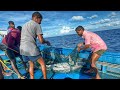 Omg on the eighth day we stayed in the deep sea and caught tuna  day08  deep sea fishing  ep09