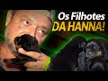 CONHECENDO OS FILHOTES DA MINHA ROTTWEILER! | A CASA DOS BICHOS