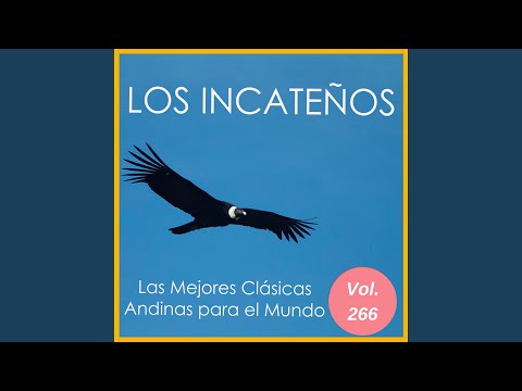 Zamba de los