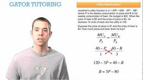 Managerial Economics - Utility maximization 3
