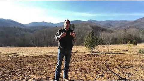 Tip Tuesday: Part 2 Finding Land to Build your Log or Timber Frame Home