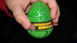🐉ФИКС ПРАЙС🐣НОЯБРЬ ДЕКАБРЬ 2016 2017 FIX PRICE🐉ГИГАНТОЗАВР ИЗ ЯЙЦА 🐉ФИКС ПРАЙС🐣НОЯБРЬ ДЕКАБРЬ 2016 2017 FIX PRICE🐉ГИГАНТОЗАВР ИЗ ЯЙЦА