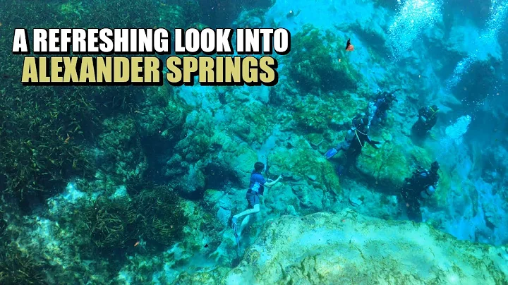 Camping Alexander Springs | Swimming | Kayaking | ...