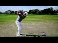 Pga Golf Swings Down The Line