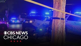 Chicago police crash into tree while pursuing stolen vehicle on Northwest Side
