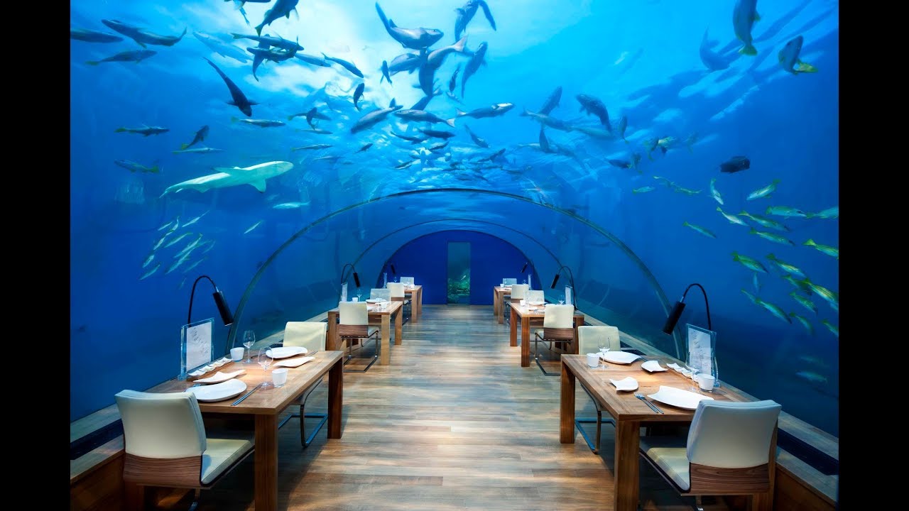 Maldives Restaurants And Lounges Conrad Maldives Rangali