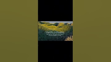 لا يكلف الله نفسا إلا وسعها _قرائه خاشعه _بصوت جميل وهادئ 💚قران كريم 💚