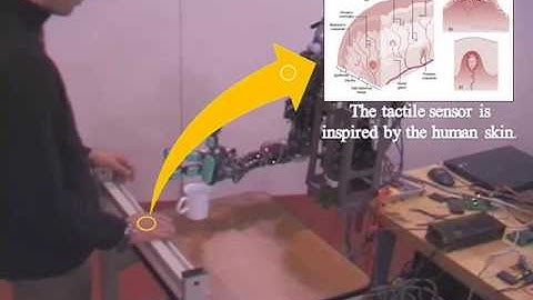 Soft Spherical Tactile Sensor