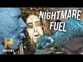 Mysterious Creatures and Phenomena