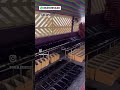 📞99088 98106‬ 📍Ongole #jesuschrist #christmasmusic #trending #novation #keyboard #music #shorts