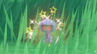 Pokémon Scarlet: Shiny Paldean Wooper {Bounty 05}🌟