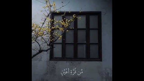 القارئ عبدالرحمن مسعد  { تتجافي جنوبهم عن المضاجع}  حالات واتساب قرآن كريم