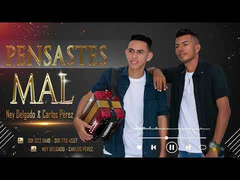 PENSASTE MAL -