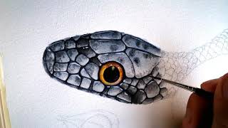 Making a painting of a snake in watercolor. Timelapse.