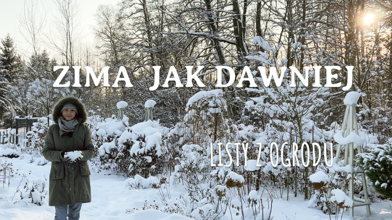 Prawdziwa zima jak z dzieciństwa ❄️ listy z ogrodu | mróz i śnieg też są ważne
