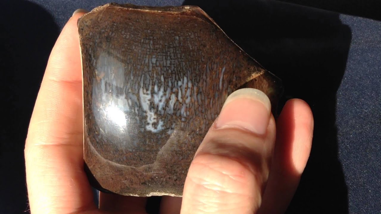 The Correct Direction of the Cut in a Dinosaur Bone Vertebrae