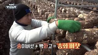 [29회] 백화고와 송화버섯을 생산해 연매출 30억 '경기 여주시 정봉조 부자농부'