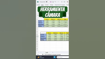 ¡La herramienta secreta de Excel que pocos conocen! 📸✨