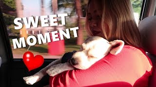 SWEETEST MOMENT! (Sept. 16-17,19, 2017) - saytioco