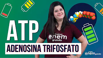 Como as células conseguem repor as moléculas de ATP?